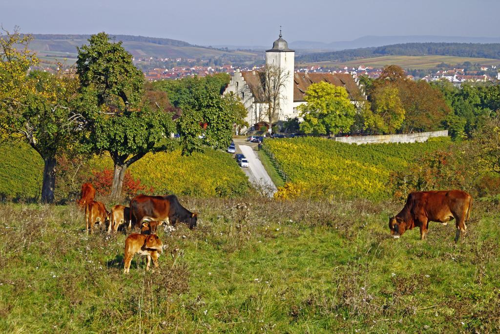 Flair-Hotel Zum Benediktiner Schwarzach am Main Exterior foto